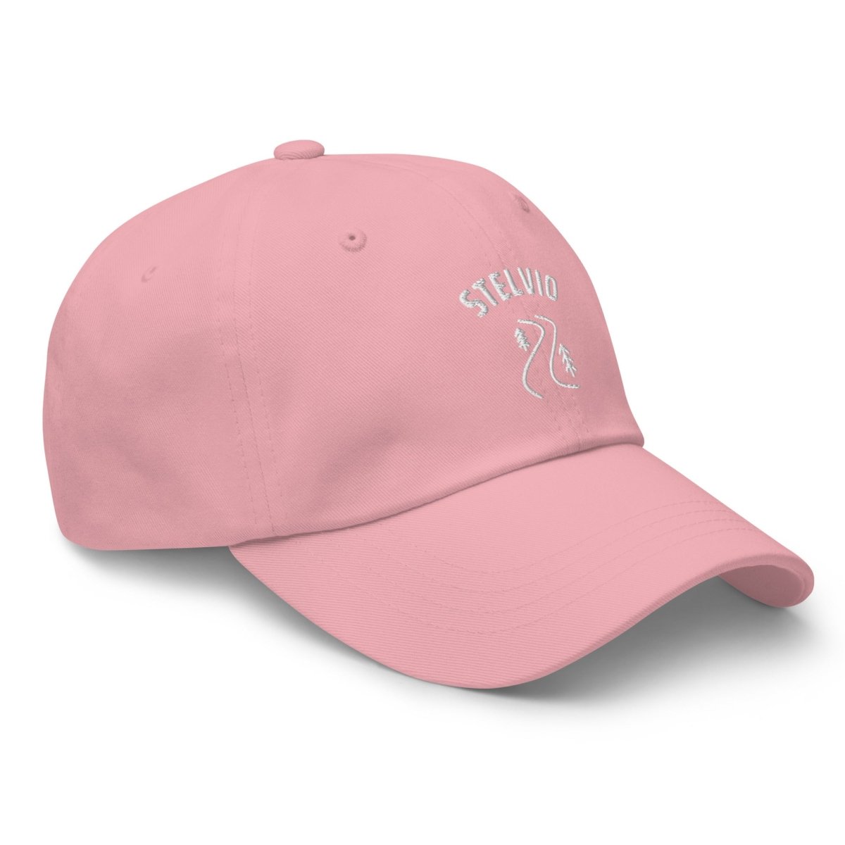 STELVIO CAP - Trailvue