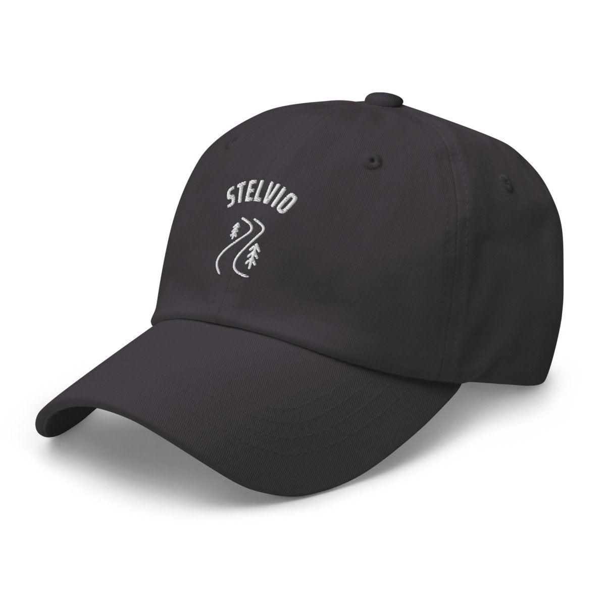 STELVIO CAP - Trailvue