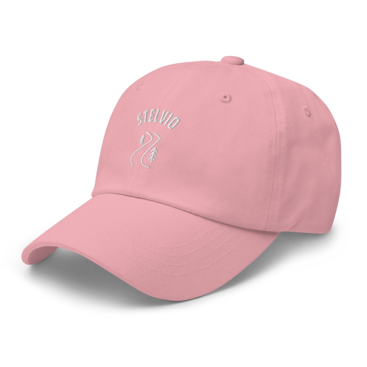 STELVIO CAP - Trailvue