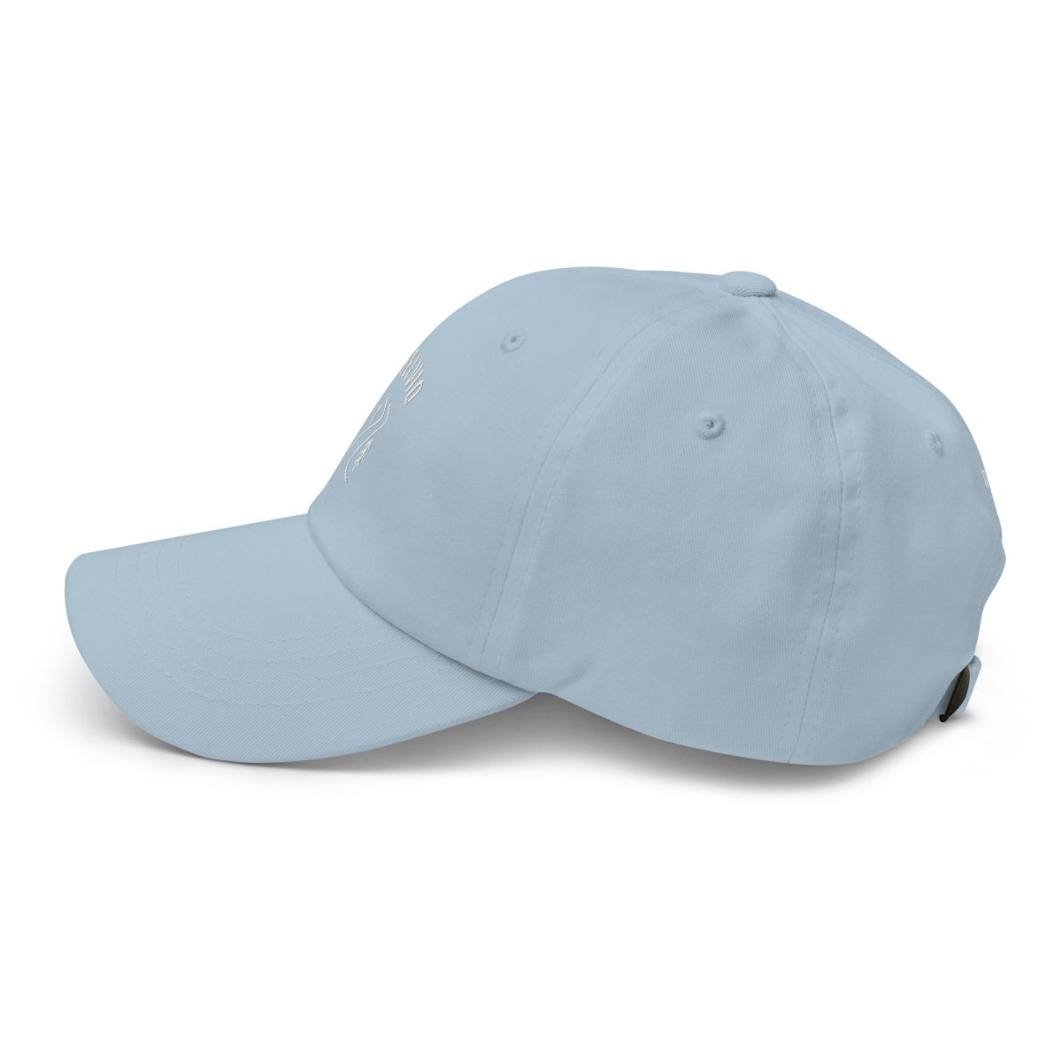 STELVIO CAP - Trailvue