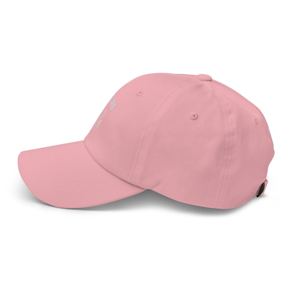 STELVIO CAP - Trailvue