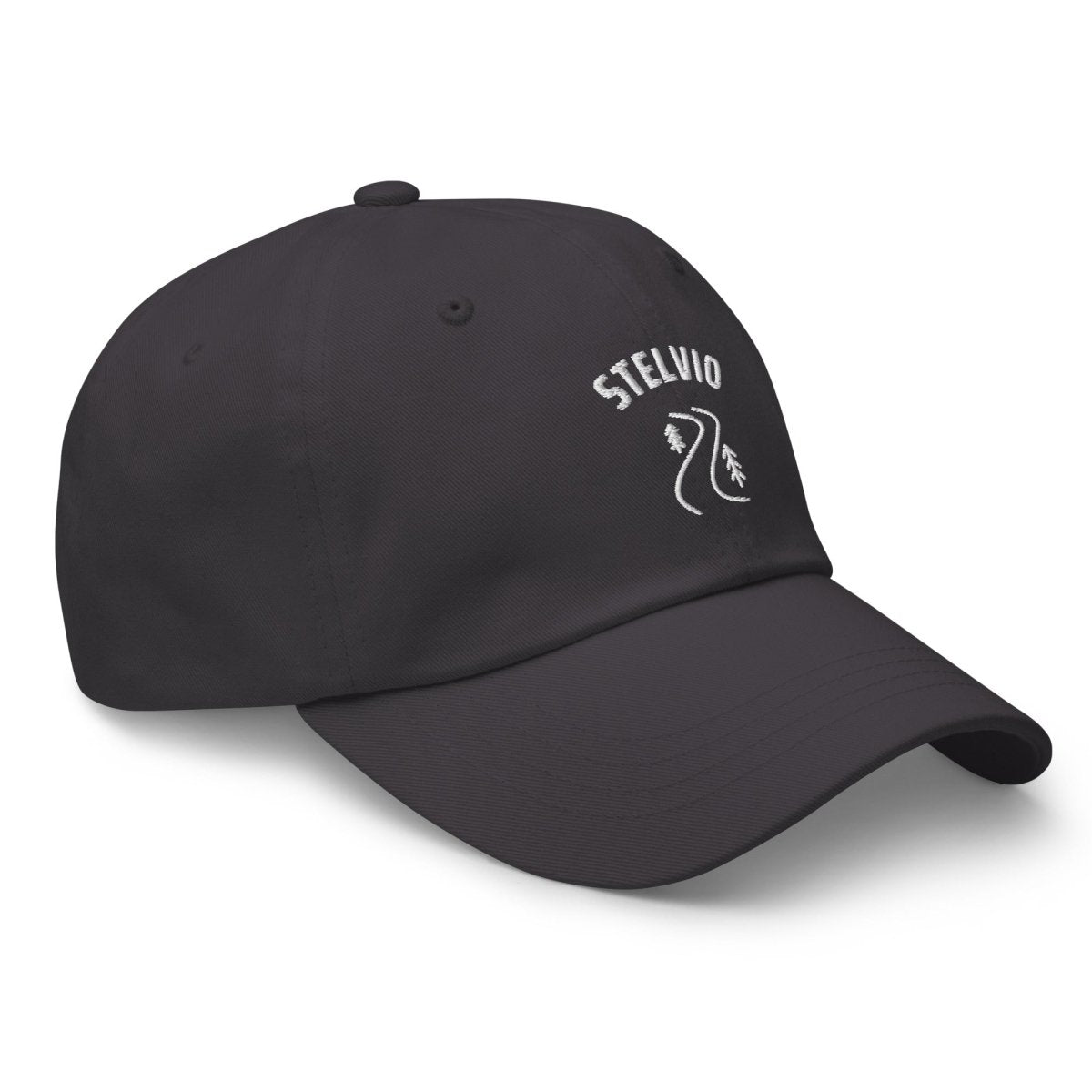 STELVIO CAP - Trailvue