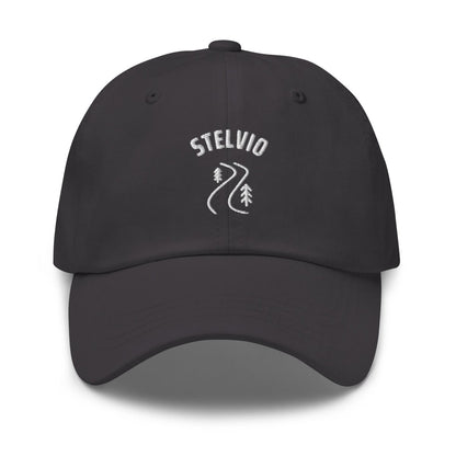 STELVIO CAP - Trailvue