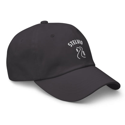 STELVIO CAP - Trailvue
